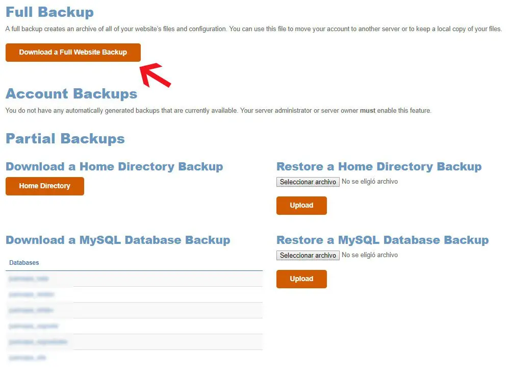 tipos de copias de seguridad en Cpanel