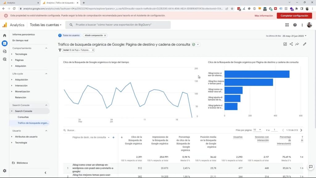 Reporte de tráfico de búsquedas orgánicas